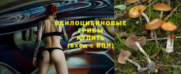 соль ск Верхнеуральск
